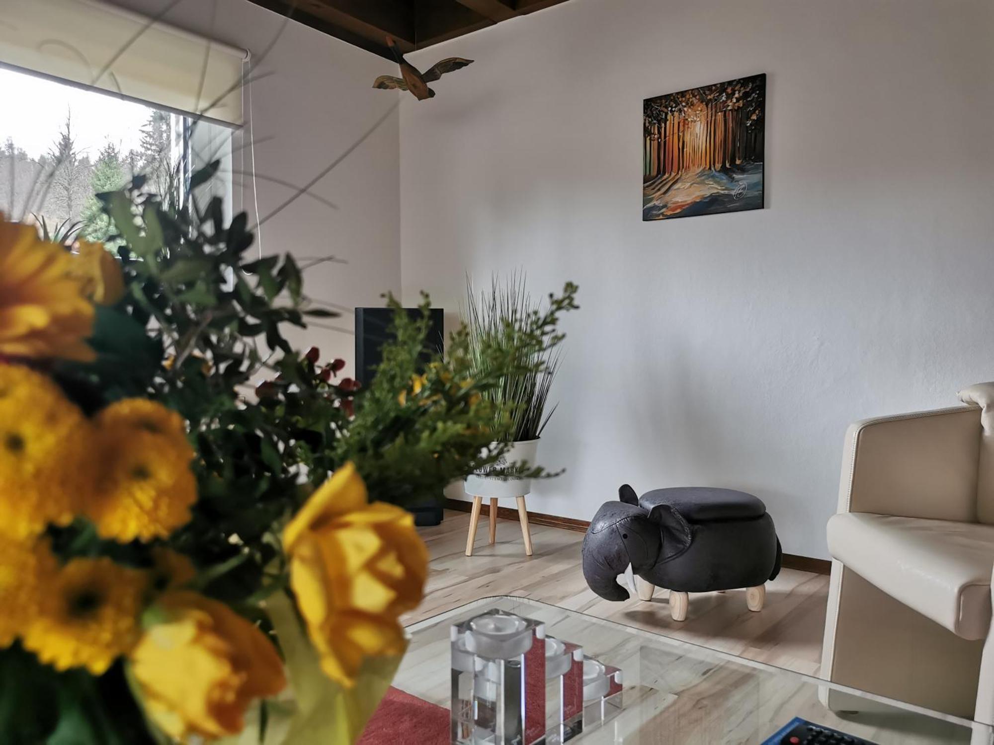 Ferienhaus Aanthuus Brilon Zewnętrze zdjęcie