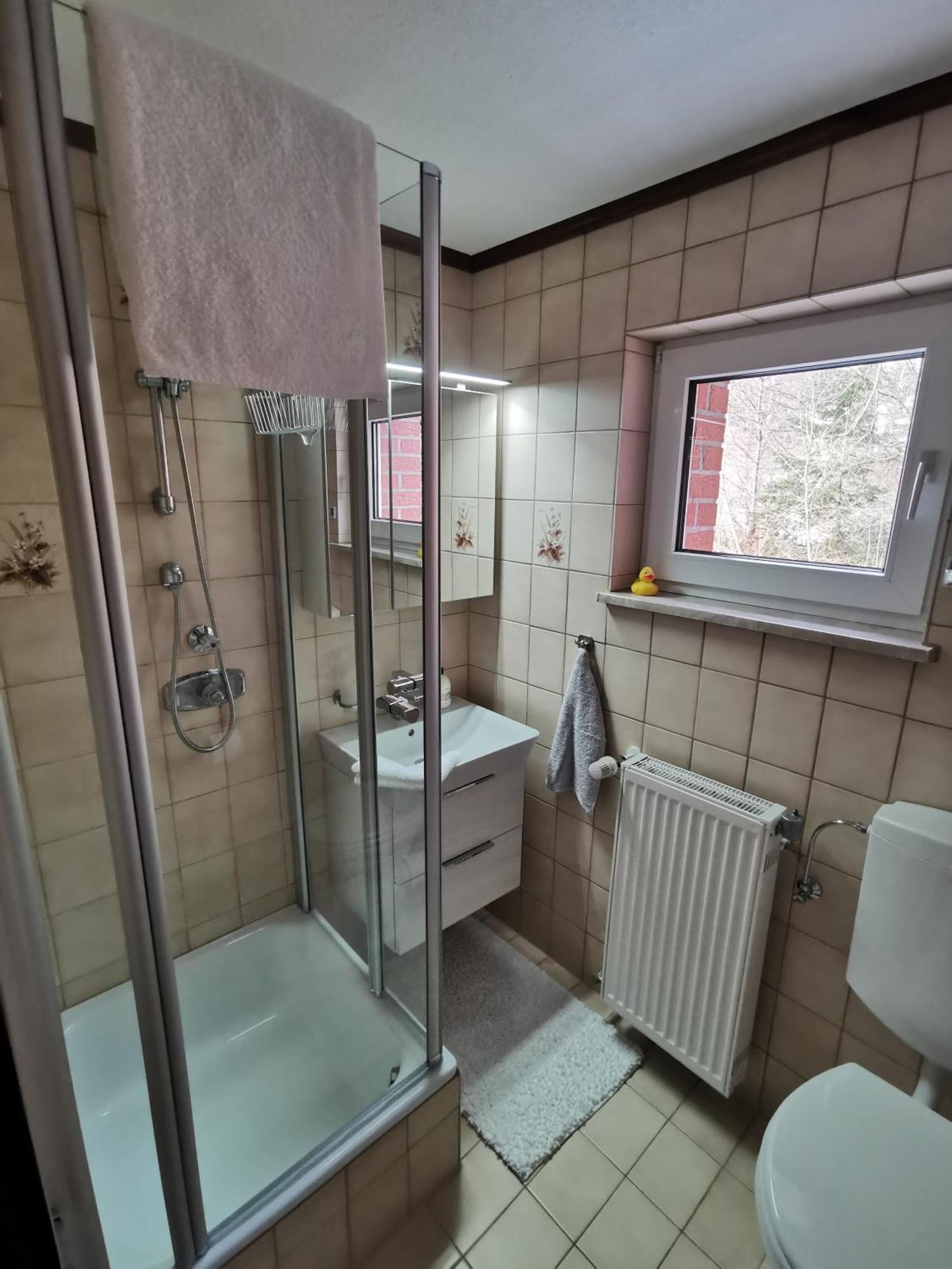 Ferienhaus Aanthuus Brilon Zewnętrze zdjęcie